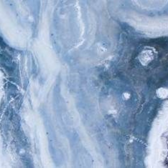 Meet your Posher, Zara - Picture 1 of 1